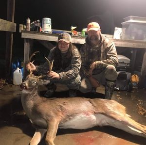 Meet your Posher, Bailey